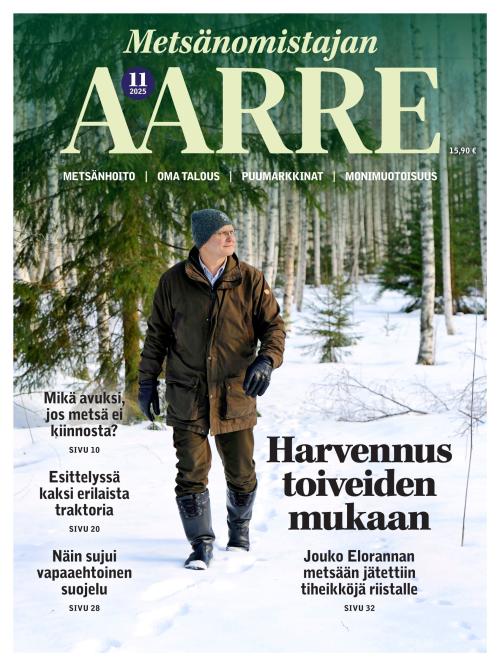 Aarre 11/2025