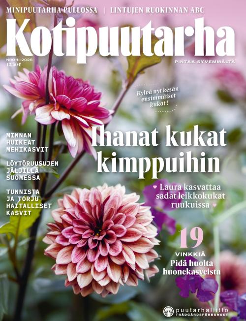 Kotipuutarha 1/2026