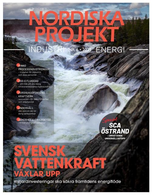 Nordiska projekt 6/2025