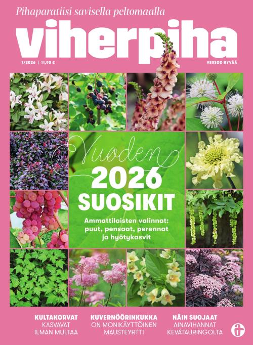 Viherpiha 01/2026