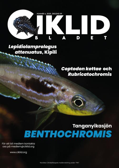 Ciklidbladet 4/2025