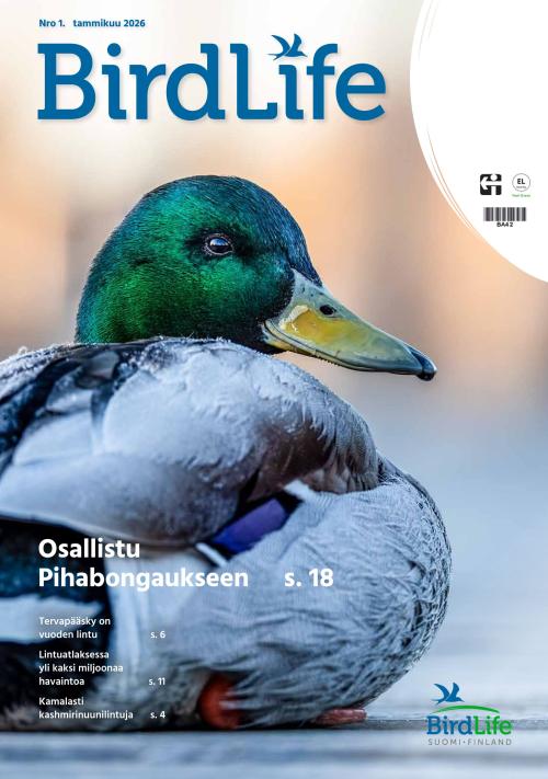 Birdlife 01/2026