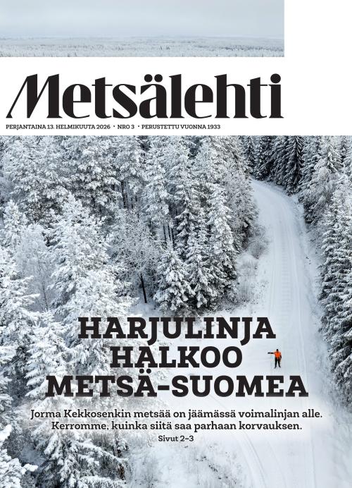 Metsälehti