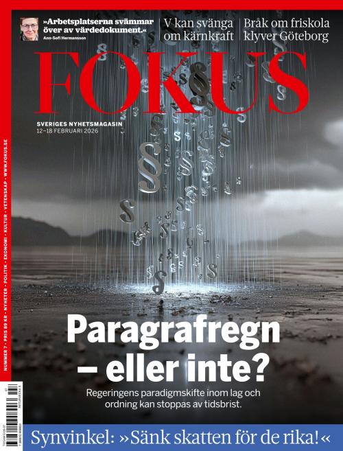 Fokus 7/2026