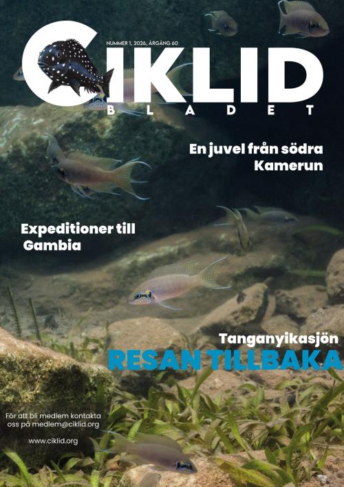 Ciklidbladet 1/2026