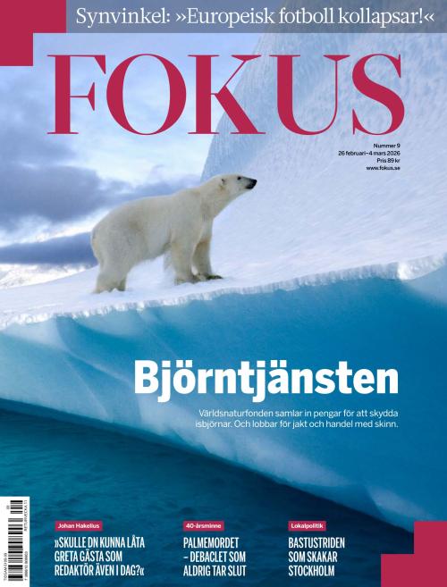 Fokus 9/2026