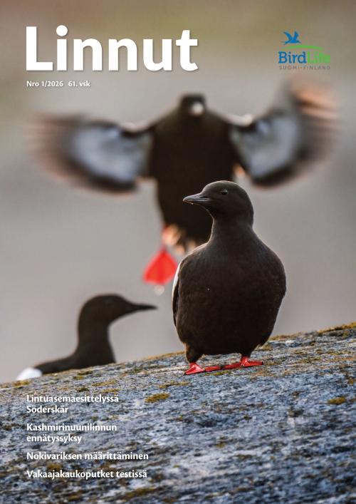 Linnut 1/2026