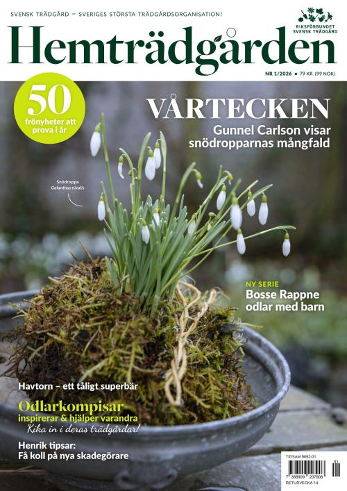 Hemträdgården 01/2026