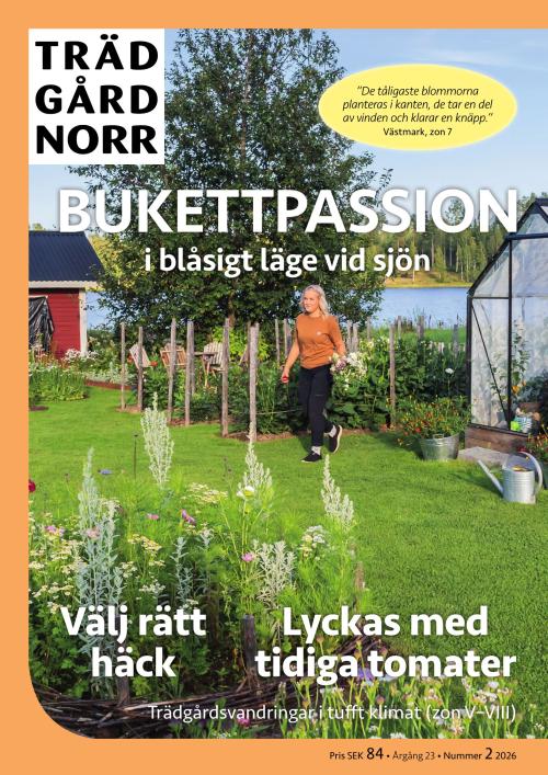 Trädgård Norr 2/2026