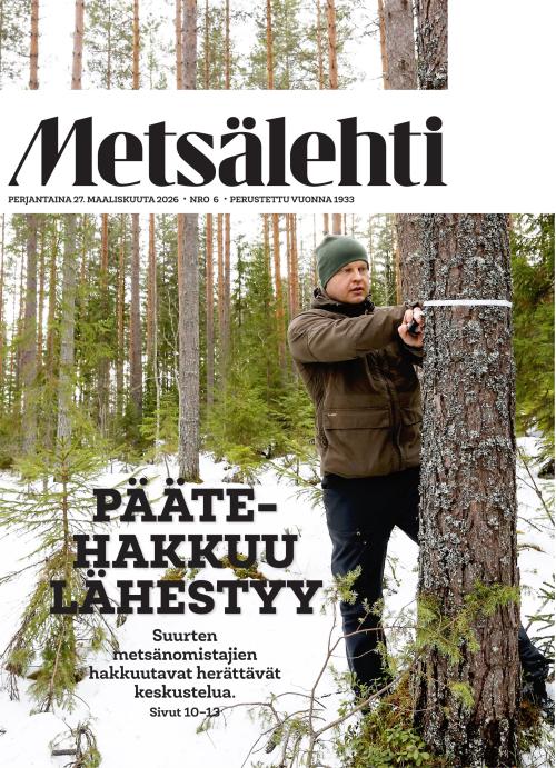 Metsälehti (sis. Makasiini) 06/2026