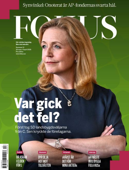 Fokus 13/2026