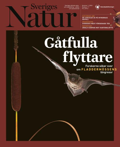 Sveriges Natur 01/2026