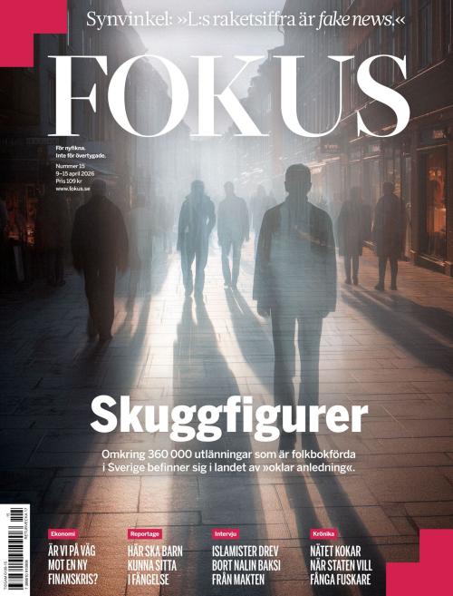 Fokus 15/2026