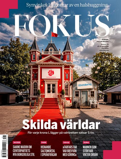Fokus 16/2026