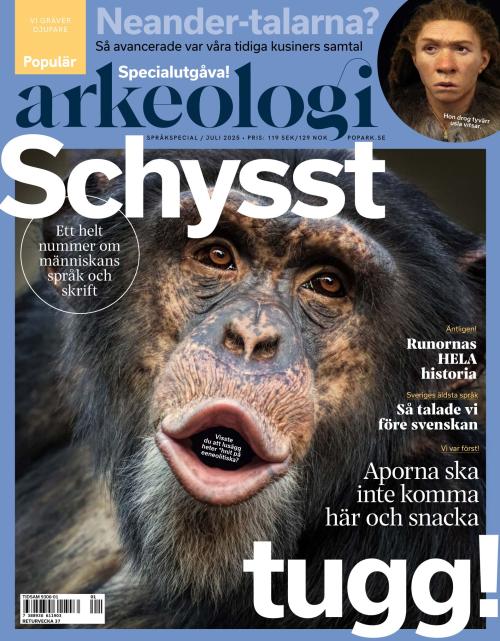 Populär arkeologi Special/2025