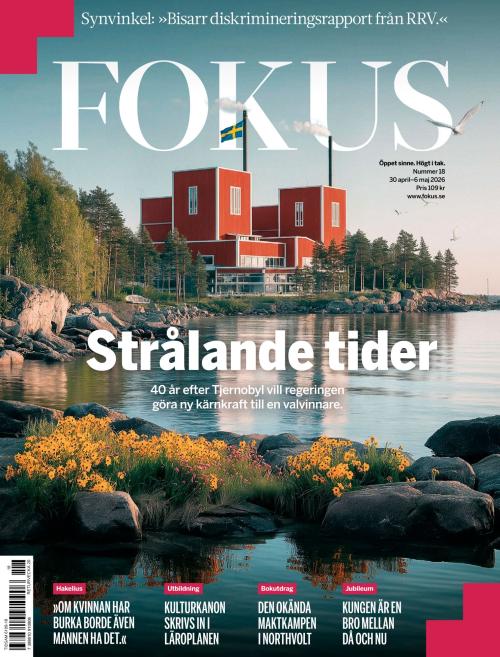 Fokus 18/2026