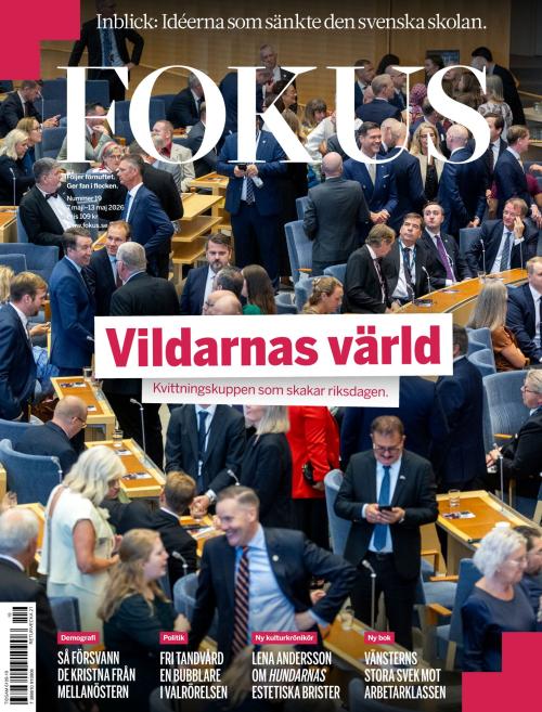 Fokus 19/2026