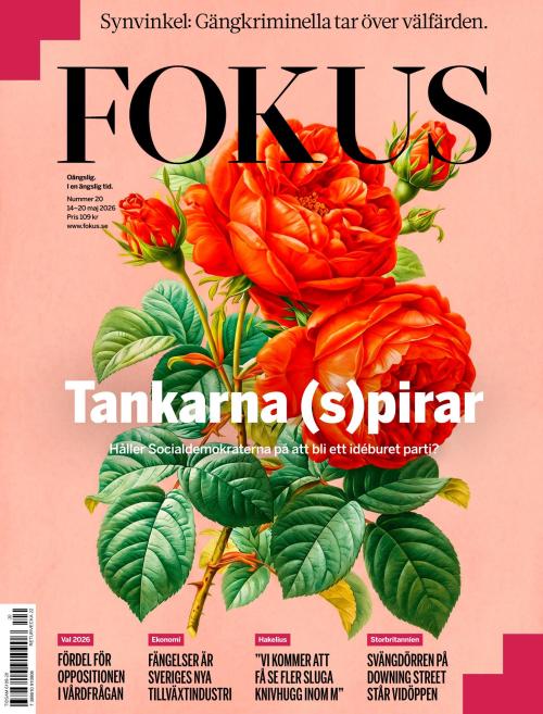Fokus 20/2026
