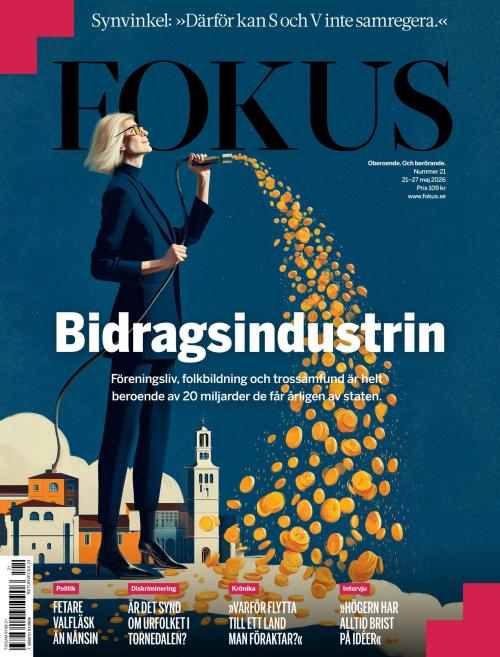 Fokus 21/2026