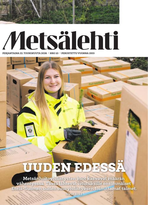 Metsälehti (sis. Makasiini) 10/2026