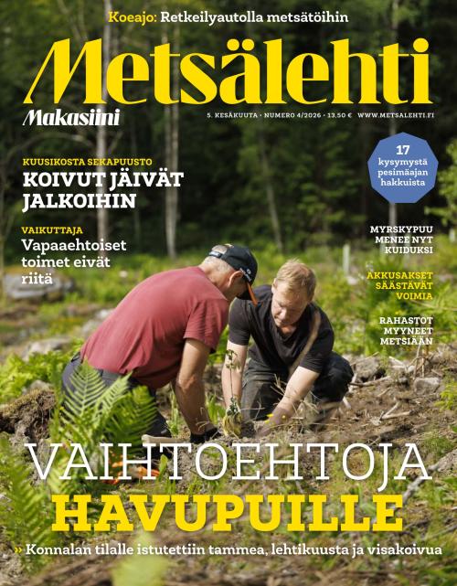 Metsälehti (sis. Makasiini) 11/2026