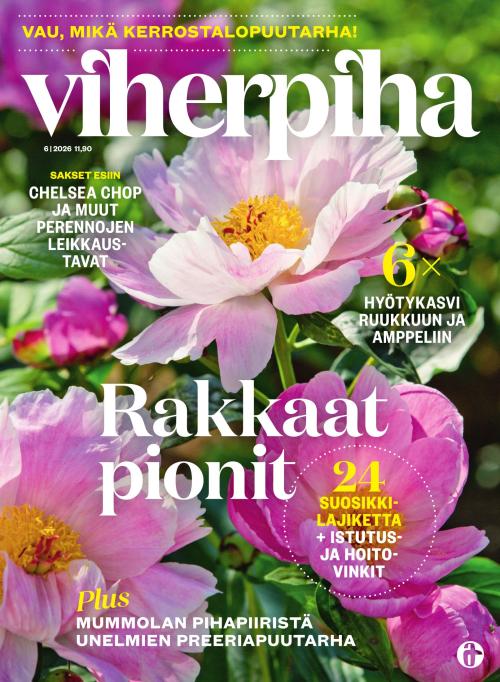 Viherpiha 06/2026