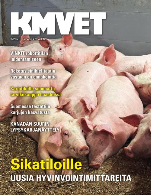 KM VET 03/2026