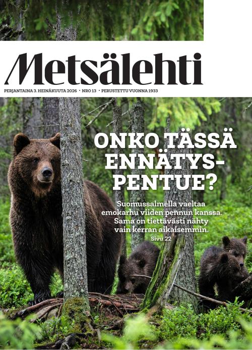 Metsälehti (sis. Makasiini) 13/2026