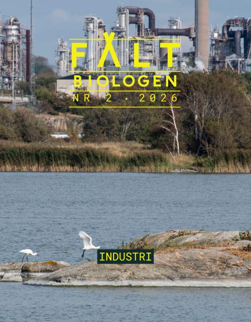 Fältbiologen 2/2026