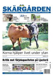 issue-29/2026
