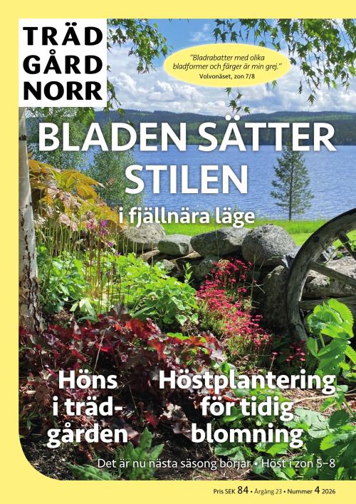 Trädgård Norr 4/2026