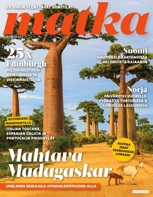 Matka 6/2026