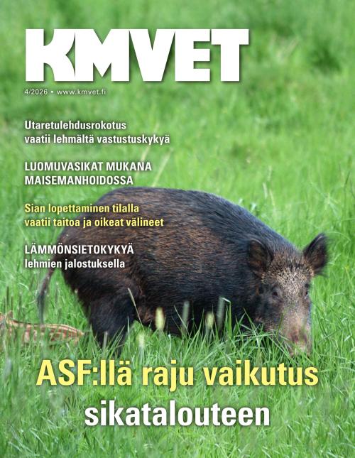 KM VET 04/2026