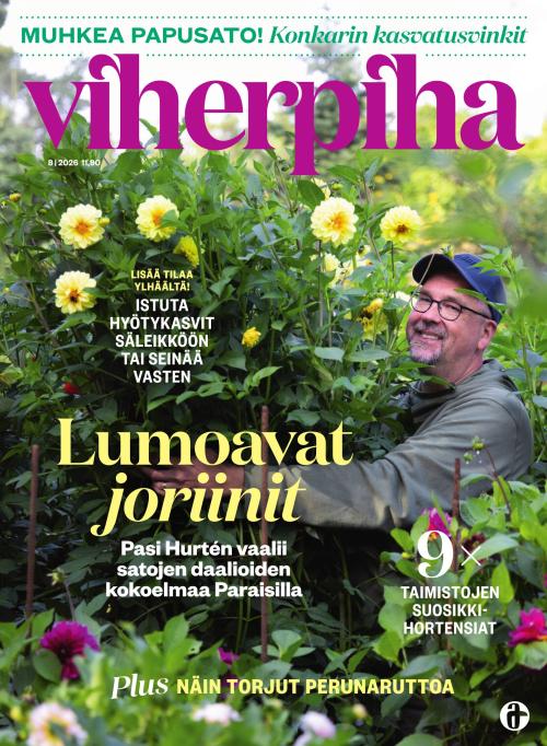 Viherpiha 08/2026