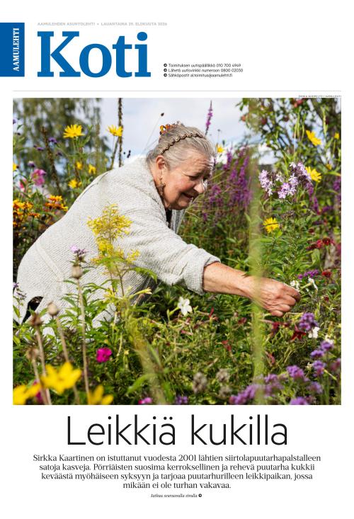 Aamulehti -liitteet 29.8.2026