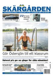 issue-36/2026