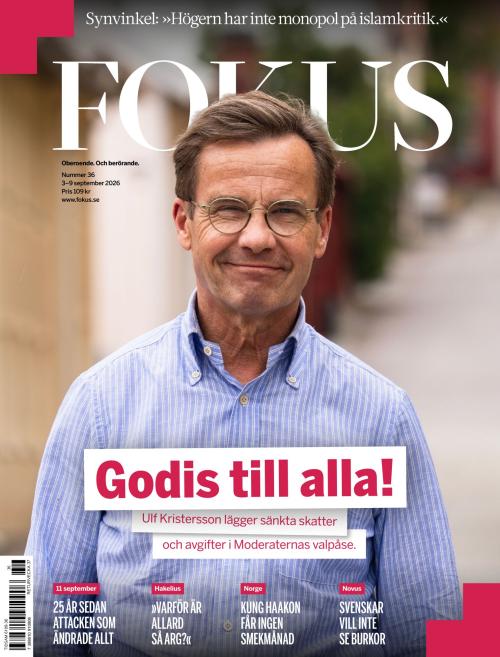 Fokus 36/2026