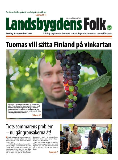 Landsbygdens Folk 036/2026