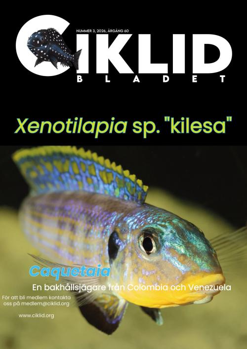Ciklidbladet 3/2026