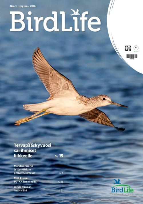 Birdlife 3/2026