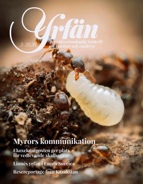Yrfän 7.9.2026