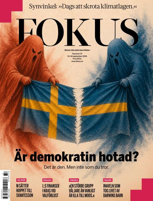 Fokus 37/2026