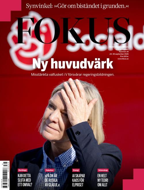 Fokus 39/2026