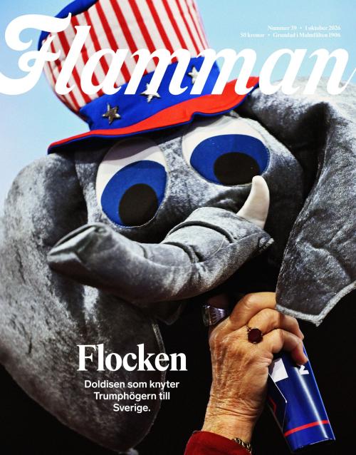 Flamman 39/2026