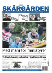 issue-41/2026