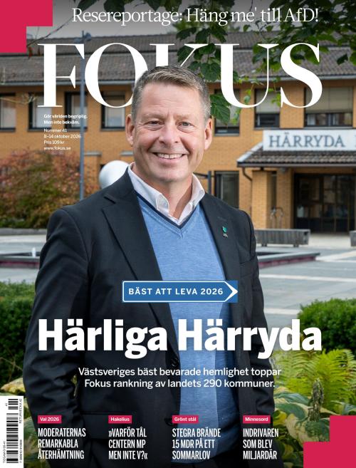 Fokus 41/2026