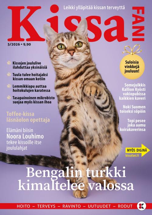 Kissafani 05/2026