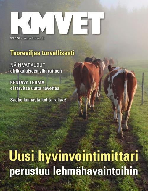 KM VET 05/2026