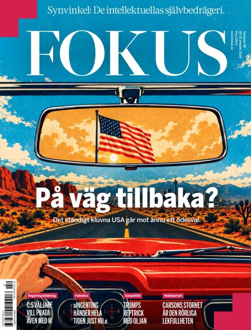 Fokus 42/2026