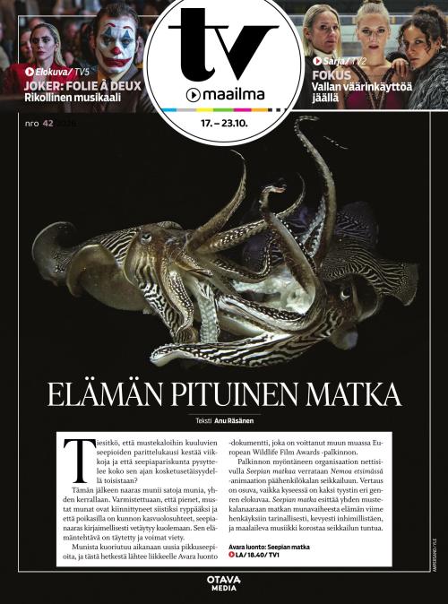 TV-Maailma 42/2026